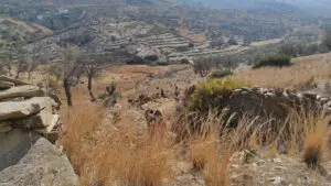 hiking around lower valley