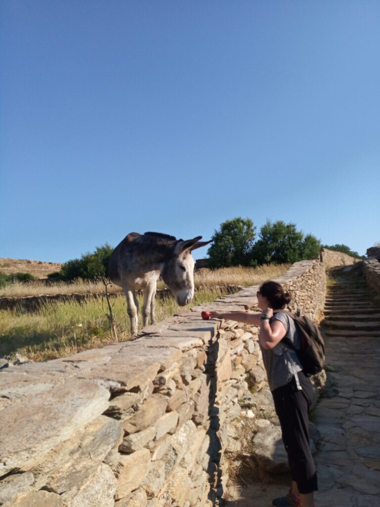 feeding the animals during a hike