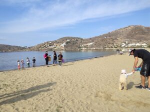 beach cleanup at gialos beach