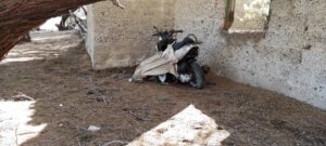 beach cleanup at hagia theodoti beach