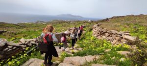 hiking and clearing the path from diaseli cheesery to ios theatre