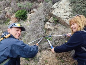 hiking and clearing the path from diaseli cheesery to ios theatre