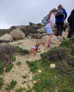 hiking and clearing the path from diaseli cheesery to ios theatre