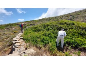 Route clearing by volunteers of AOS, funded by Green fund