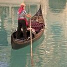 paulwhittaker17 Avatar