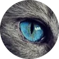 Greta Formentin Avatar