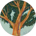 Taina Mansani Avatar